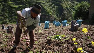 “Segunda Reforma Agraria”: Gobierno prevé iniciar obras de infraestructura en 14 regiones desde 2022