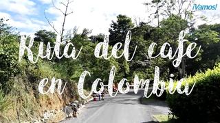 La ruta del café: un recorrido por Risaralda, Colombia