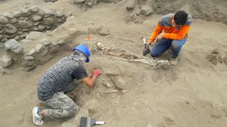 Hallan esqueletos de 56 niños sacrificados en la cultura Chimú | FOTOS