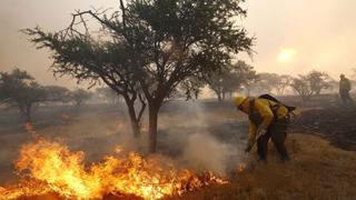 Chile en alerta debido a humo provocado por incendio forestales