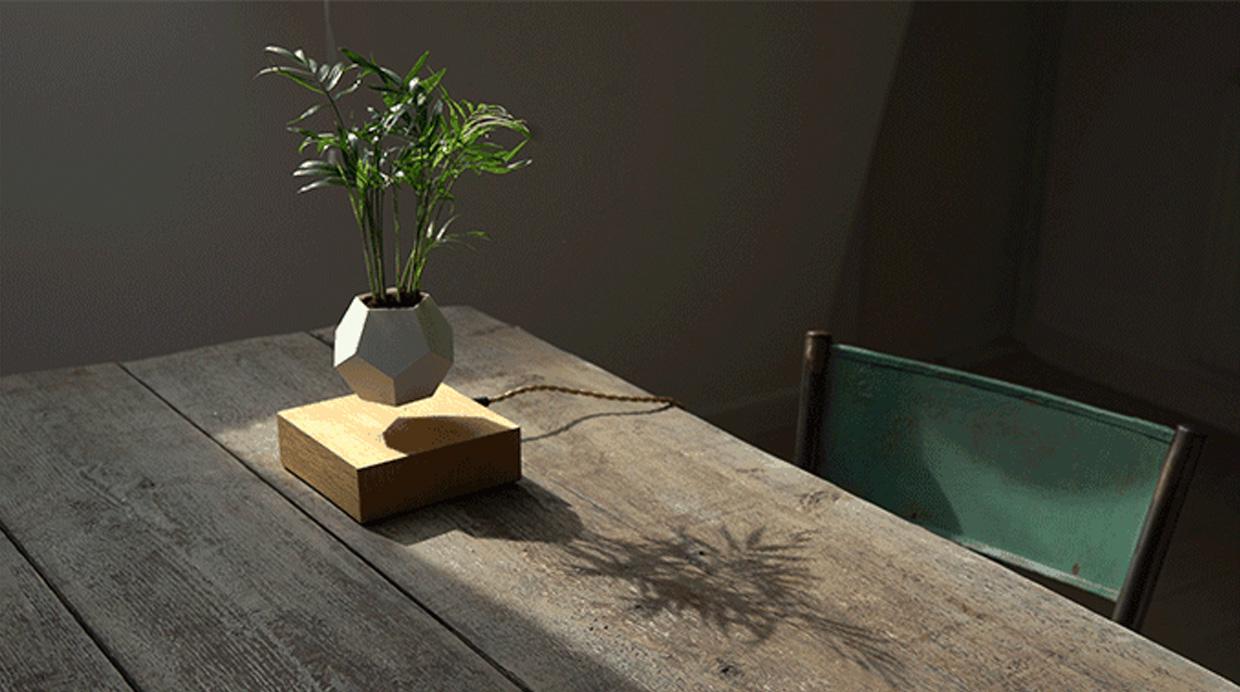 Lyfe, la maceta que hará a todas tus plantas flotar - 1