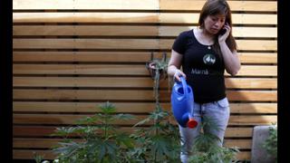 Chile: Mujeres cultivan marihuana para medicar a sus hijos