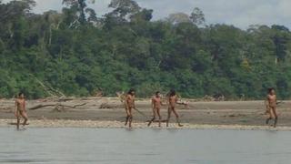 Pueblos indígenas en aislamiento: las áreas de la Amazonía que piden ser protegidas ante amenazas 