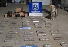 Tacna: perro detecta más de 50 kilos de droga en frontera con Chile
