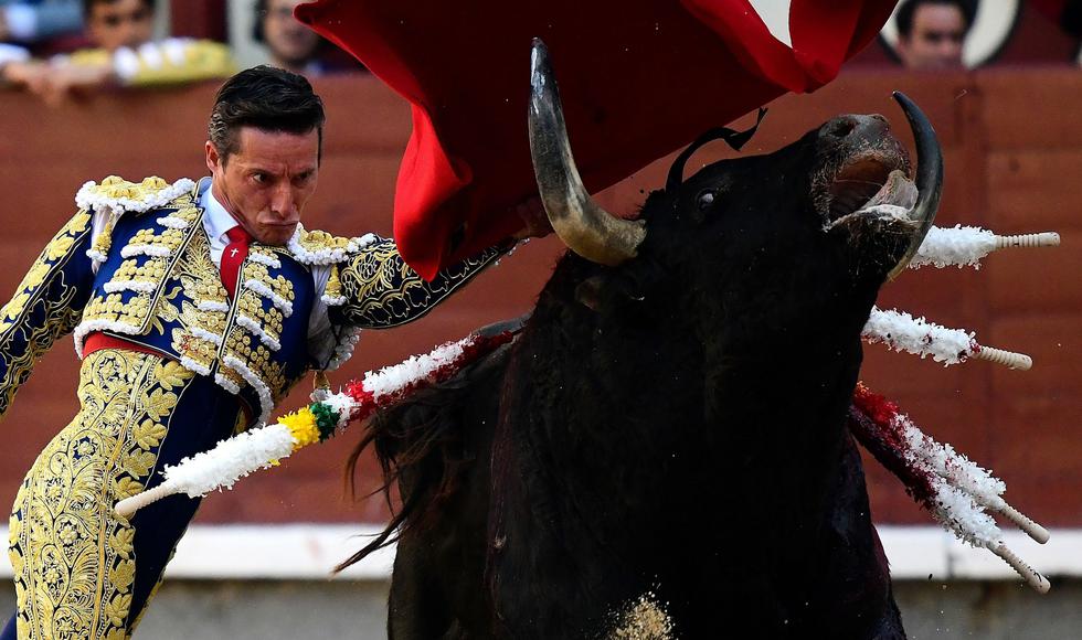 El matador español Diego Urdiales realiza un pase a un toro durante una corrida en la plaza de toros de Las Ventas durante el festival San Isidro 2019 en Madrid. (AFP / GABRIEL BOUYS).