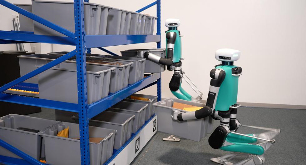 Amazon will use humanoid robots in its warehouses to assemble deliveries |  TECHNOLOGY