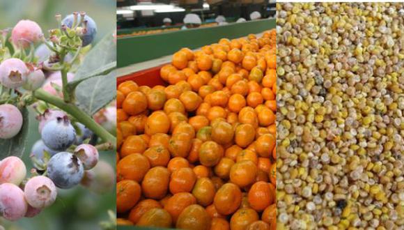 Los 3 productos de mayor crecimiento agroexportador en 2013
