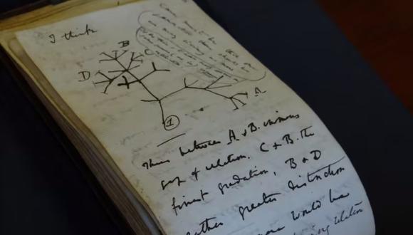 Una página del cuaderno de Darwin de 1837 que muestra el boceto del Árbol de la vida.