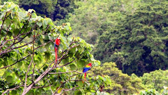 Así se alista Costa Rica para liderar el "turismo de reuniones"