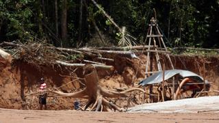 EE.UU. reforzará medidas para impedir entrada de madera ilegal desde Perú