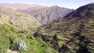 Andes milenarios, por Gonzalo Portocarrero