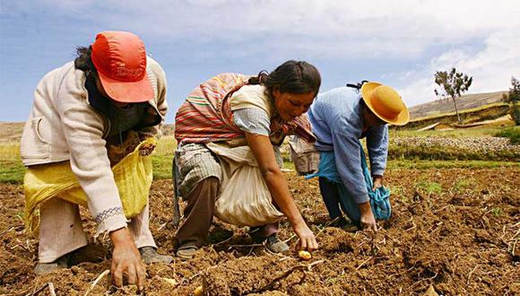 La población beneficiada son las organizaciones agrarias (agrícola, pecuaria, forestal, artesanal) de mujeres productoras y emprendedoras rurales e indígenas. (Foto: Midagri)