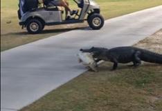 YouTube: caimán cruza un campo de golf y asusta a toda una familia