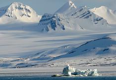 Noruega: Un oso polar hiere a un turista en la región Svalbard