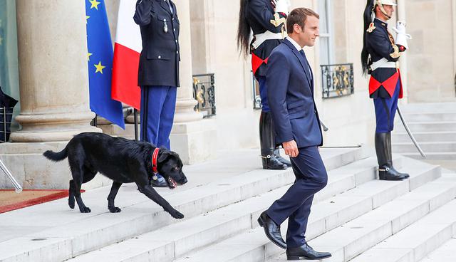 French President Emmanuel Macron and his dog, a labrador crossed griffon named Nemo, leave at the Elysee Palace to greet a guest in Paris, France, August 28, 2017.  REUTERS/Charles Platiau