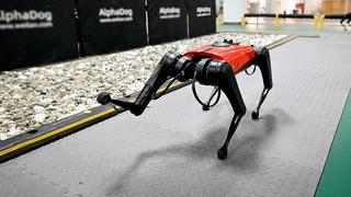 Robots zoomórficos: cuando la tecnología logra imitar los atributos de los animales