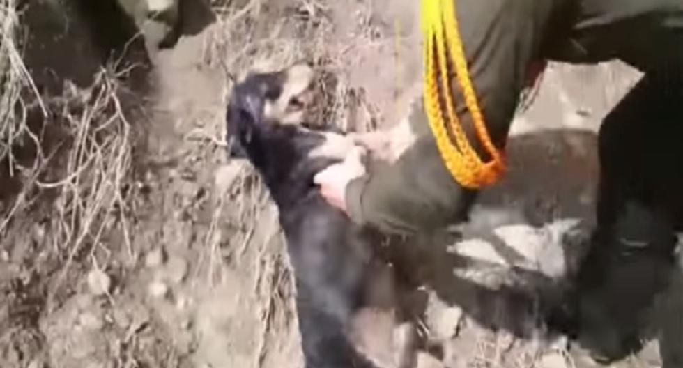 Conmueve policía que salvó a perrito arrastrado por alud. (Foto: Captura de YouTube)