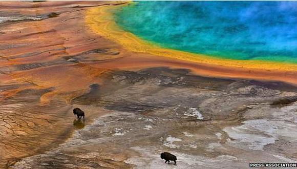 Multan a turista que estrelló dron en Yellowstone