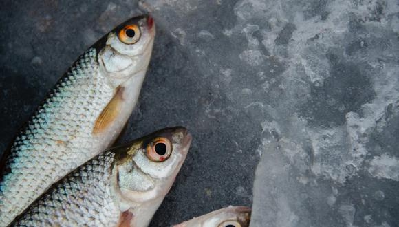 Si hablamos del sabor, un pescado fresco también hace la diferencia. Aquí te enseñamos cómo identificarlo. (Foto: Pexels)