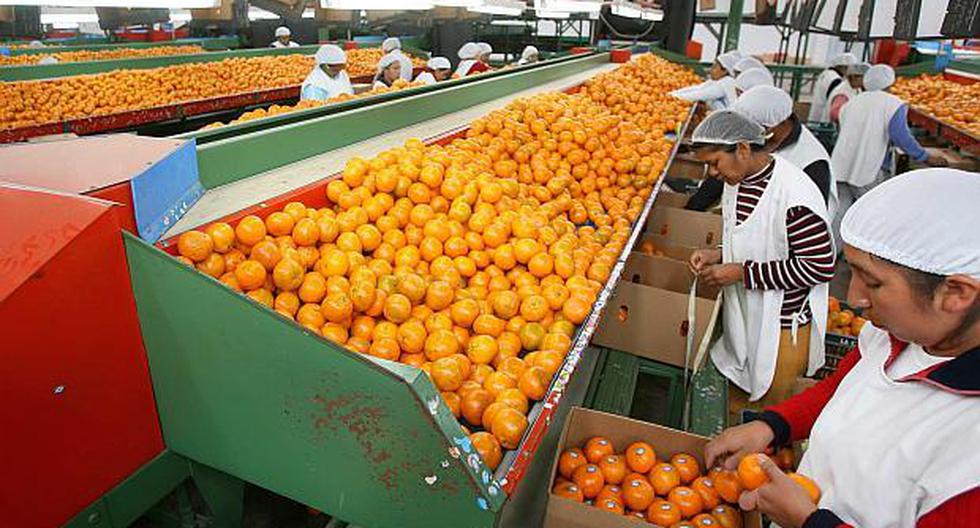 La mandarina peruana se deberá exportar a Japón en contenedores refrigerados de acuerdo con el protocolo fitosanitario aprobado por las autoridades niponas. (Foto: El Comercio)