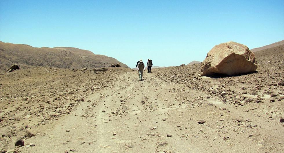 Restos de vegetación, ladrillos de adobe (barro) y agrupaciones de rocas fueron descubiertos durante los trabajos de investigación en Perú. (Foto: Andina)