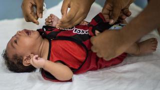 Zika, el virus que ha puesto en alerta a América Latina