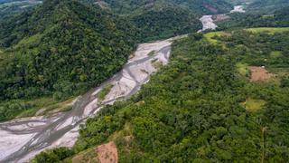 San Martín: bosques nubosos de Shunté y Mishollo se convierten en área protegida