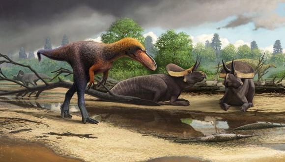 El nuevo dinosaurio es llamado hazelae Suskityrannus, nombrado por “coyote” en el idioma zuni. Data de hace 92 millones, unos 20 millones de años antes de que el T. rex caminara por la Tierra. (Foto: AP)