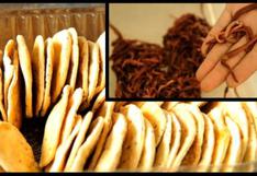 Bolivia: ¿Comerías estas galletas de harina de lombriz?