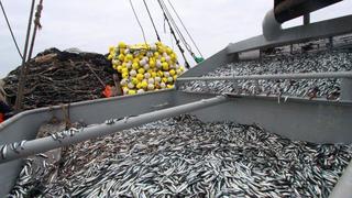 Produce autorizó inicio de la segunda temporada de pesca de anchoveta en la zona sur