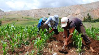 Compra de urea: Prime Charters International gana la licitación y proveerá más de 44.000 toneladas al Perú