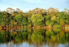 Deforestación de Amazonía brasileña creció un 28% en 2013