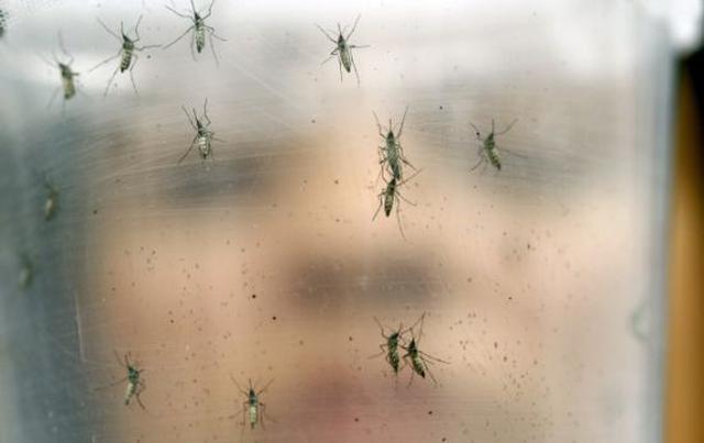 Zika: Minsa recomienda a gestantes no viajar a estos países - 1