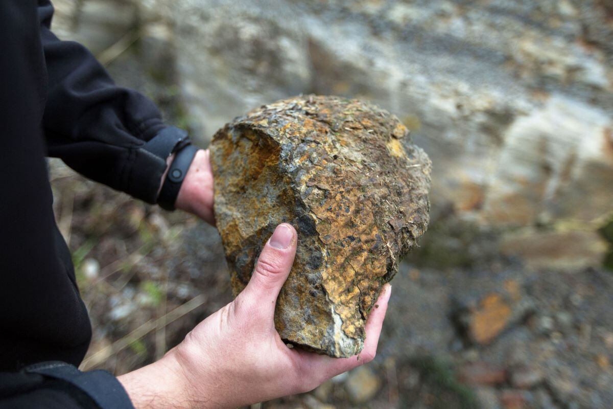 A man holds a fossil found inside the rocks of a forest with 165 trees in Ortigueira, Paraná state, southern Brazil.  (Ricardo Chicarelli / AFP).