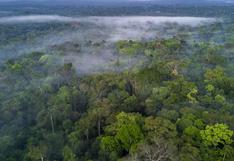 Parte de la selva amazónica está a punto de convertirse en fuente de emisión de CO2