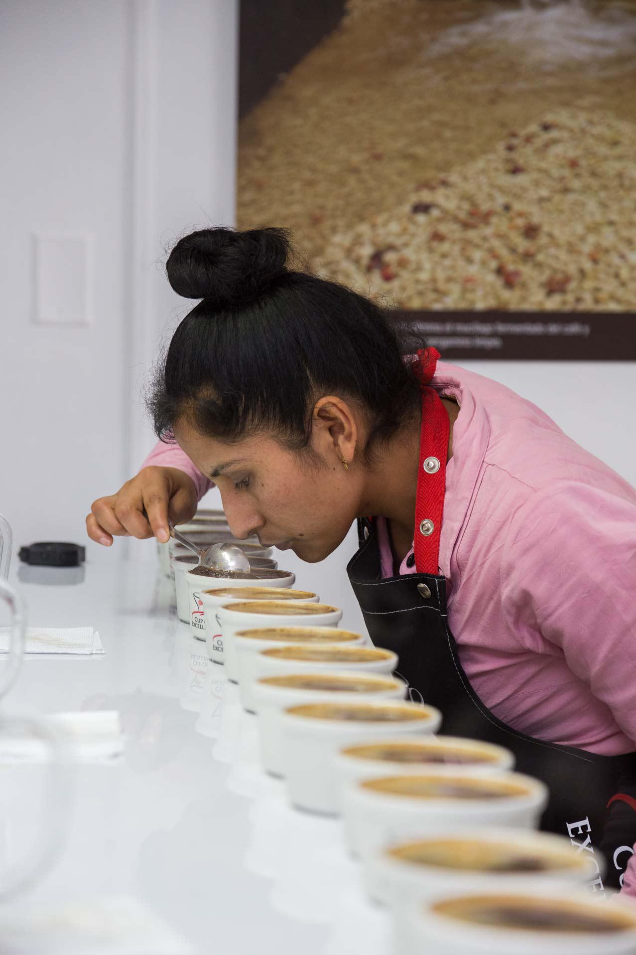Los encargados de evaluar los cafés especiales en competencia pasaron una rigurosa prueba de selección. (Foto: Roger Aguilar/ Cafelab.pe)