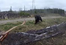 YouTube: el aterrador momento en el que un oso corre hacia ti y te ataca