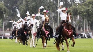 ¿Dónde ver imperdibles shows de caballos peruanos de paso?