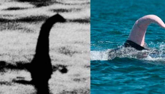 A la izquierda, la icónica fotografía reportada de la supuesta aparición del monstruo del lago Ness. A la derecha, el pene de una ballena durante un ritual de apareamiento. | Foto: AFP