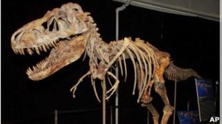 EE.UU devolverá esqueletos de dinosaurios a Mongolia