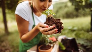 Agricultura urbana: ¿cómo tener tu propio biohuerto en casa? 
