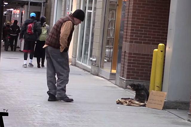 Un hombre sin hogar decidió brindar ayuda a un perro que había sido abandonado en la calle a su suerte. (Foto: Facebook/LADbible)