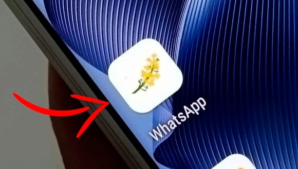 WHATSAPP | Conoce el truco para cambiar el ícono de WhatsApp por las "Flores amarillas" en dibujo. Solo sigue los pasos. (Foto: MAG - Rommel Yupanqui)