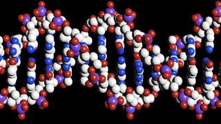 Crean una herramienta que perfecciona la edición del genoma