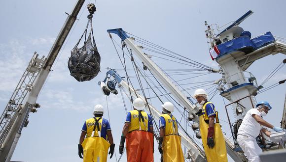 La pesca fue uno de los factores que habrían influido en la reactivación de la economía peruana. (Foto: GEC)