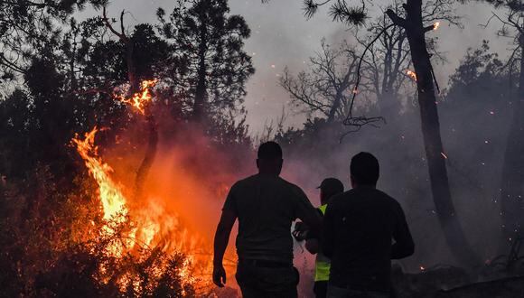 Bomberos intentan extinguir un furioso incendio forestal cerca de la ciudad de Melloula, en el noroeste de Túnez, cerca de la frontera con Argelia, el 24 de julio de 2023. (Foto de FETHI BELAID / AFP)