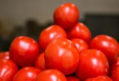 ¿Por qué los tomates ya no saben a nada? Científicos te lo explican 
