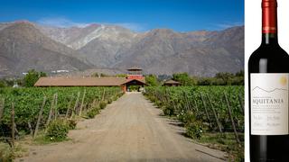 Aquitania: Conoce todo sobre esta viña chilena y su Cabernet Sauvignon