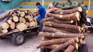 Piura: incautan madera ilegal que iba a ser comercializada
