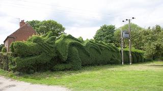 ¿Un dragón en el jardín? Anciano lo esculpió durante 13 años